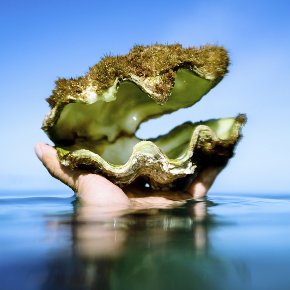 重新启动你的职业生涯