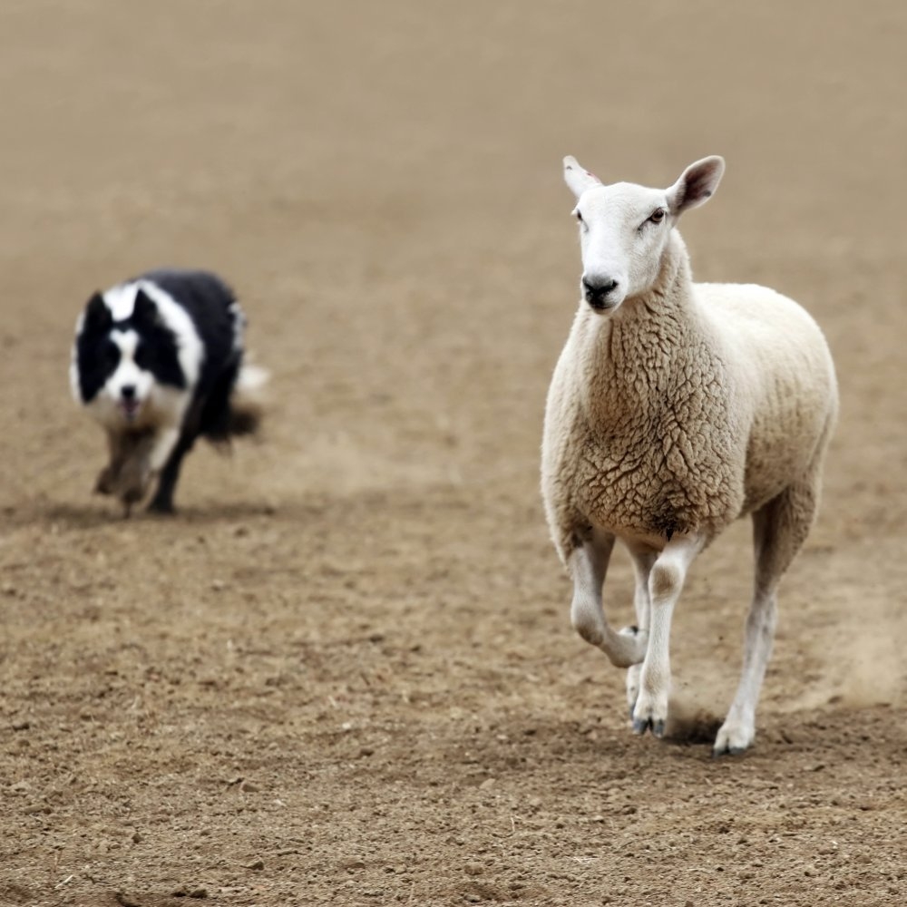 创建一个社交媒体策略